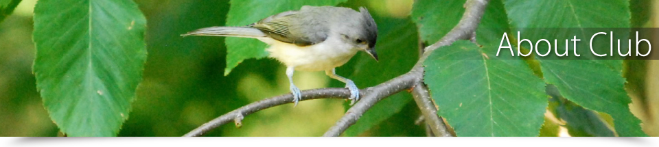 兵庫県のゴルフ場、八重桜カントリークラブ